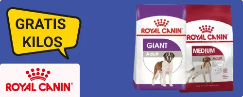 Bis zu 3 Gratis-Kilos auf Royal Canin Bonusbeutel Hundefutter